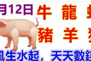 1月12日生肖運勢_牛、龍、蛇大吉