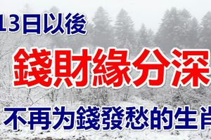 13日以後，和錢財緣分深，不再為錢發愁的生肖