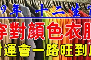 2019年十二生肖穿對顏色衣服，財運會一路旺到底【屬豬的人禁忌黃色】