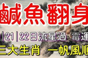 2月20，21，22日流星過，黴運走，三大生肖鹹魚翻身，一帆風順！