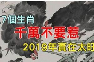 這「7個生肖」千萬不要惹，2019年他們實在太旺了