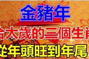 2019年合太歲的三個生肖，從年頭旺到年尾，還不快接福