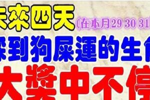 29，30，31號踩到狗屎運，大獎中不停的生肖，月底最有好運