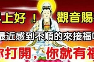 早上好！如果你最近感到不順，那來接觀音福氣吧，越早打開越好