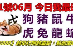 01號06月，今日我最旺！狗豬鼠牛虎兔龍蛇！【16888】越早打開越靈驗！點個讚吧！