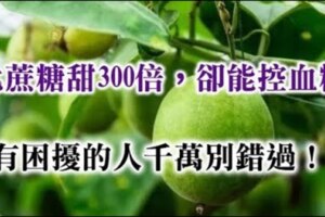 比蔗糖甜300倍，卻能控血糖！人們口中的神仙果，這三種人吃不得！