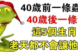 40歲就是他們的人生轉捩點，命裡不該窮的5個生肖，越老越富貴