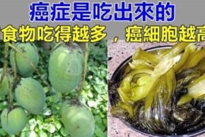 【癌細胞】是吃出來！！醫生：這4種食物吃得越多，癌細胞越是活躍，尤其第一種