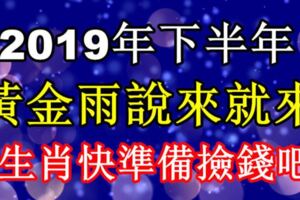 下半年「財運如天氣突變」黃金雨說來就來，要啥有啥的生肖