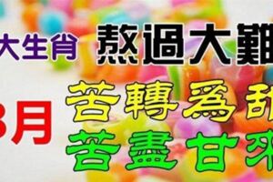 熬過大難，5大生肖8月份的日子苦盡甘來