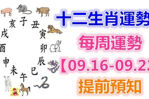 十二生肖運勢：每周運勢【09.16-09.22】提前預知！