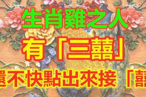 生肖雞之人有「三囍」，還不快點出來接「囍」！