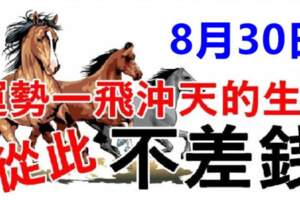 8月30日運勢一飛沖天的生肖，從此不差錢