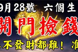 9月28號開門撿錢，想不發財都難的生肖