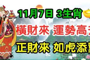 11月7日橫財來運勢高升，正財來如虎添翼的生肖