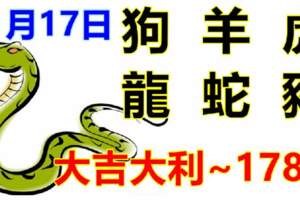 11月17日生肖運勢_狗、羊、虎大吉