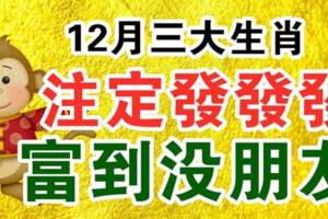 12月註定發發發，富到沒朋友的生肖