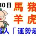 10月30日生肖運勢_馬、豬、狗大吉