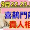 貴人相助！9月22.23.24號：喜鵲門前叫的生肖！