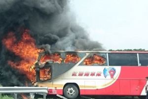 為什麼遊覽車總是不顧危險「在山路飆車」?資深司機說出「超恐怖真相」，沒想到理由這麼無人性至極…