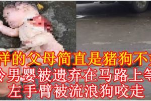 【殘忍的母親！】可憐男嬰被遺棄在馬路上等死　左手臂被流浪狗咬走