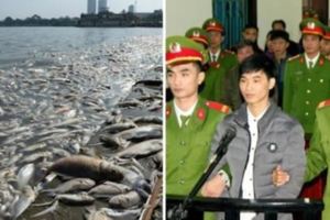 台灣黑心廠商在越南「排放有毒廢水」害慘當地魚群與居民，結果政府逮捕的是這位「22歲越南部落客」…