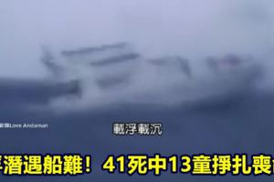 浮潛遇船難！41死中13童掙扎喪命