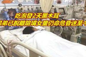 吃泡發2天黑木耳弟弟已脫離險境女童仍命危昏迷至今