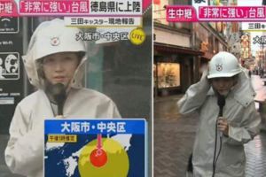 日本女記者無下限…「颱風這樣播報」慘被抓包作假！觀眾看傻眼：考驗智商嗎？