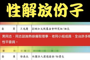 時代力量肉搜抹黑性平委員打盧秀燕