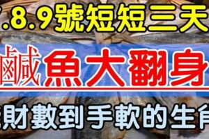 12月7.8.9號短短三天鹹魚大翻身，錢財數到手軟的生肖