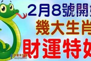 2月8號開始財運特好，好運陸陸續續來的生肖