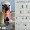  香港幼稚園作業考「中文拼字」難度超高打趴碩士 網友怒：是想玩死誰？