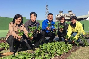 新北市首創模組化屋頂農場 打造綠意低碳城