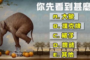 你先看到甚麼？情感上你是理性還是感性！