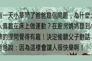 小華問了爸爸幾個問題