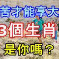 能吃苦才能享大福的3個生肖，你是這樣的嗎？