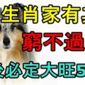 6大生肖家有其一，窮不過5年，過後必定大旺50年！