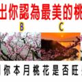 心理測試：選出你認為最美的桃林，測你本月桃花是否旺盛