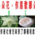 心理測試：4朵花，你喜歡哪朵？測你被社會污染到了哪種程度？