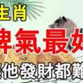 十二生肖中，脾氣最好的5大生肖，「一生福氣滿滿」想不發都難