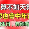 一到中年就暴富！大器晚成「財運亨通」，越老越富貴的5個生肖