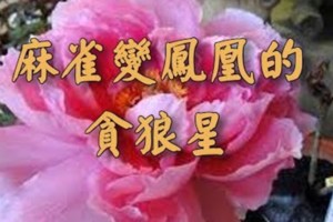 麻雀變鳳凰的貪狼星