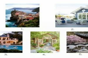 5間房子你最想住哪個？一眼看出你的性格和家庭！