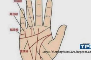 教你看手相，必看相學觀測，準的離譜...看完我傻眼了！