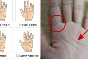 手上有『這種紋路』的人！婚姻竟是這樣的下場！