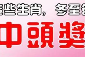 這些生肖，冬至節，最會中頭獎！荷包滿滿