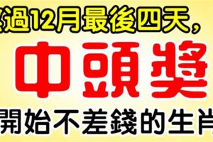 熬過12月最後四天，開始不差錢的生肖，2018年第一次中獎就是頭獎！