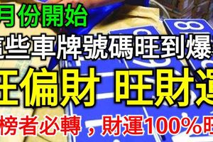 2月份開始！這些車牌號碼旺到爆表。旺偏財，旺財運！上榜者必轉，財運100%旺！