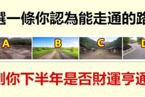 選一條你認為能走通的路，測你下半年是否財運亨通